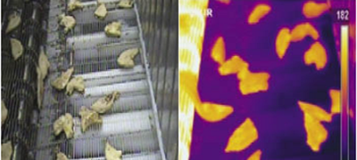 Une mesure de la température IR et une image thermographique sont utilisées pour localiser les filets de poulet mal cuits et arrêter la ligne afin que les filets mal cuits puissent être retirés