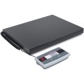 Ohaus C31M75L Shipping Scale, 150lb, Clearance Pricing-