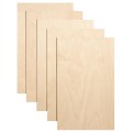 DigiLab LC-BP18 Birch Plywood-