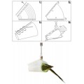 PESOLA 3.655 Bird Weighing Cone for the Micro, Medio, and Light-Line, 5 Pieces-