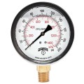 Winters PFQ2446 Liquid Filled Gauge, Dual Scale, 2&quot;, 0/3,000 psi/kPa, Clearance Pricing-